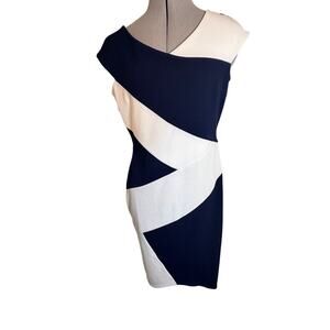Fifth & Park Womens Navy and White Colorblock Bodycon Dress size 10